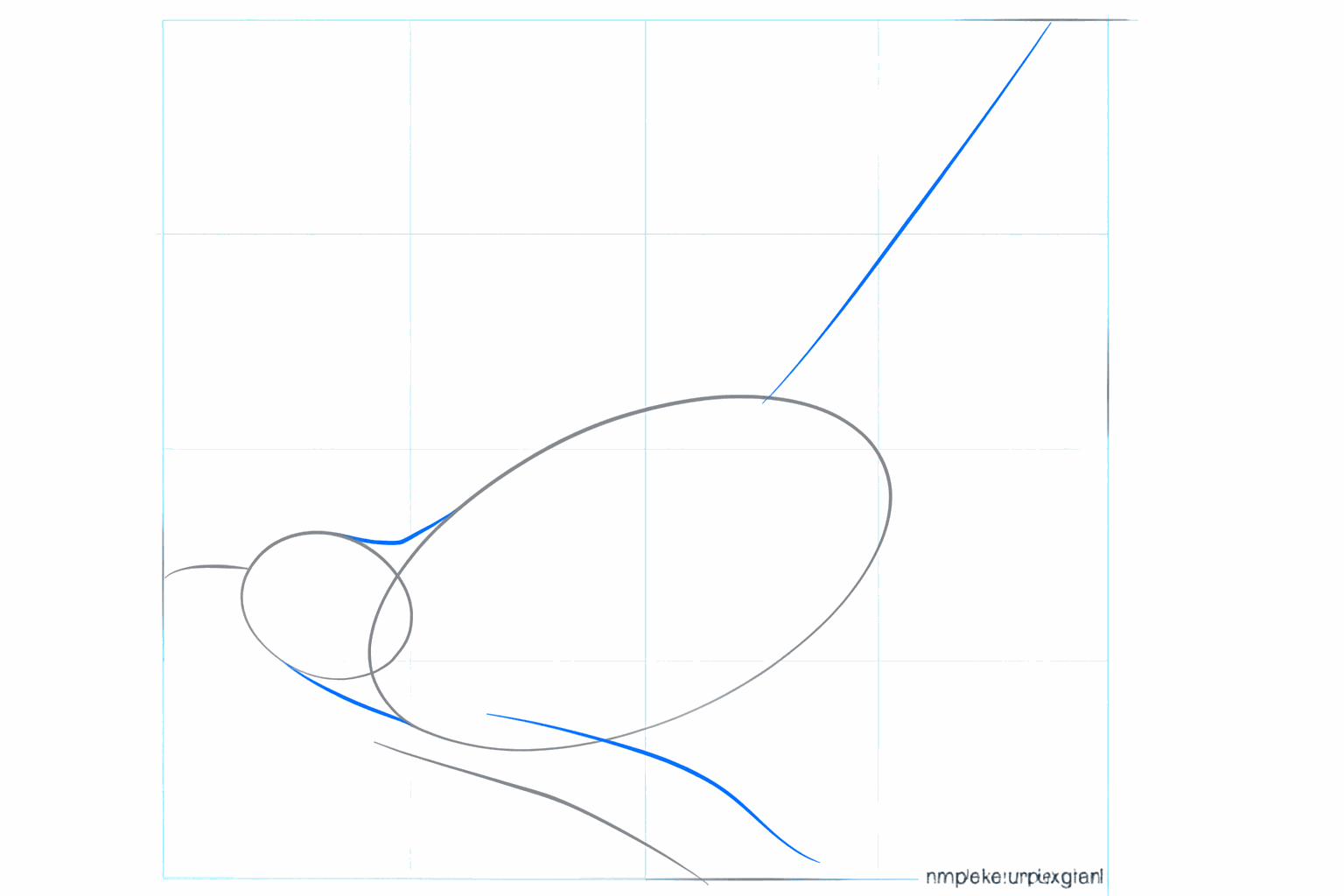Hulplijnen voor de nek en de lange staart van de koekoek.