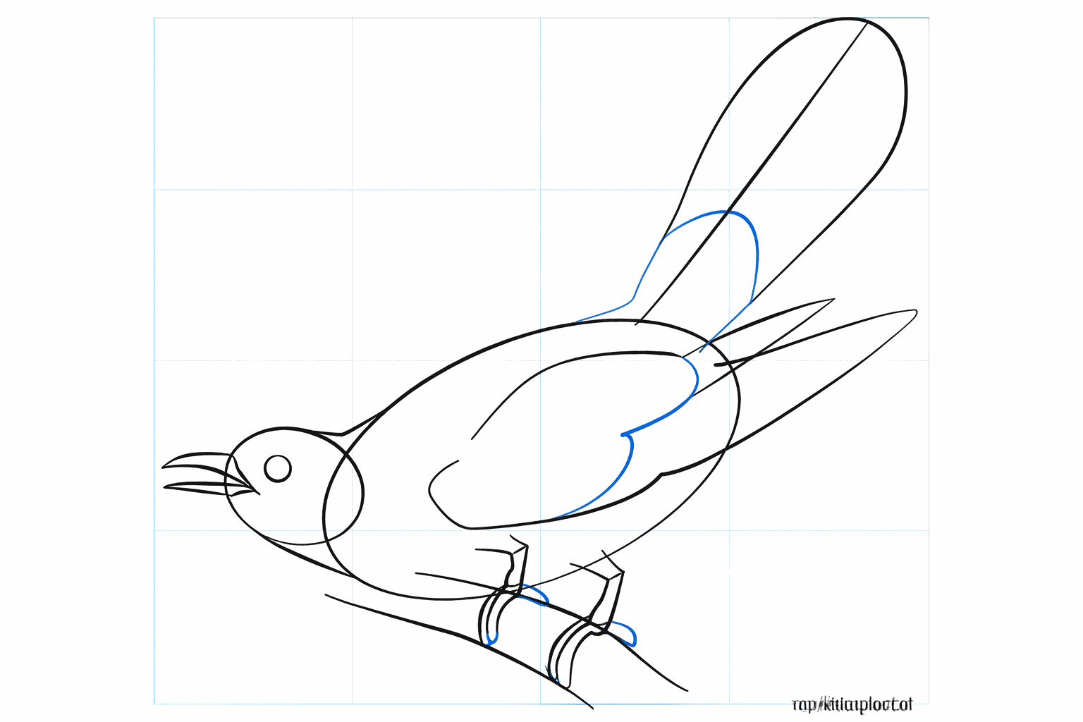 Detail van de vogelkop met een oogje en een scherpe snavel.