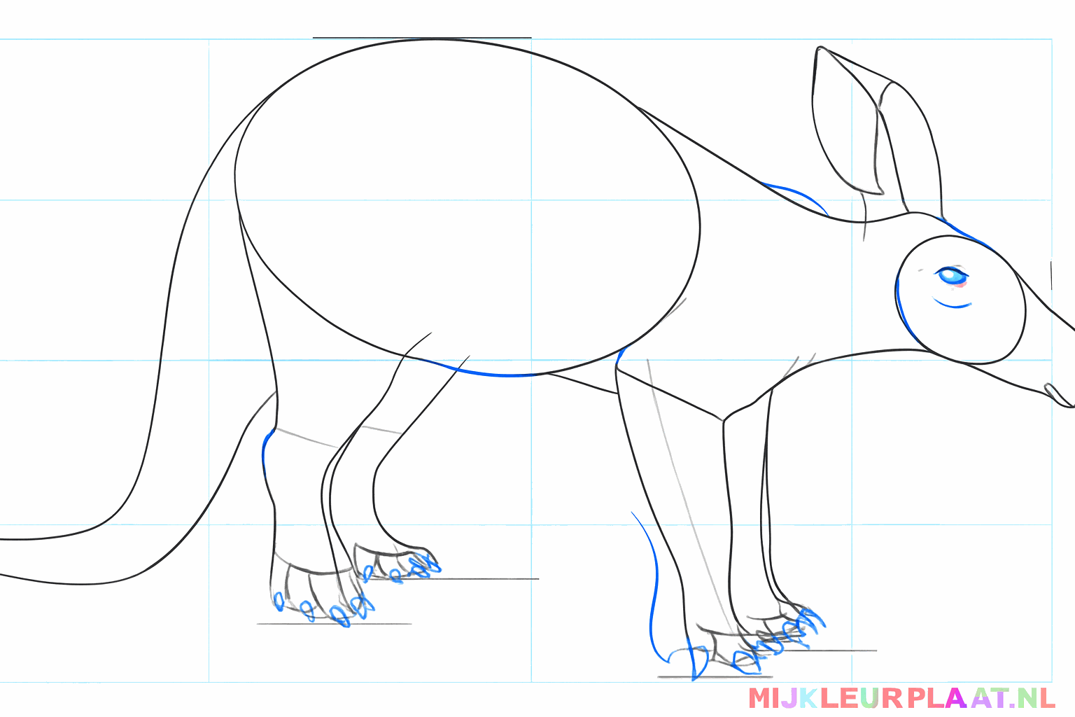 Details van de tenen en een klein rond oogje op de kop van het dier.