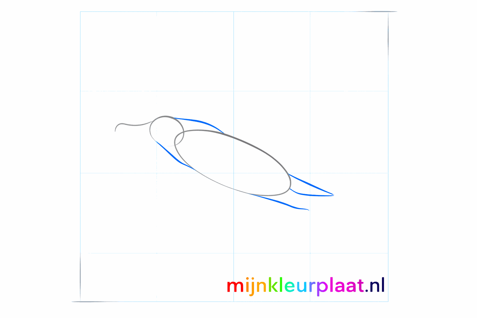 Hulplijnen voor de nek en de staart van de albatros.