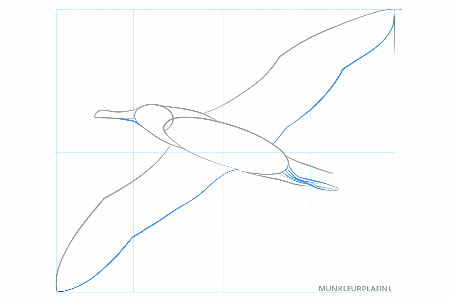 Grove vormen van de vleugels en de snavel van de vogel.
