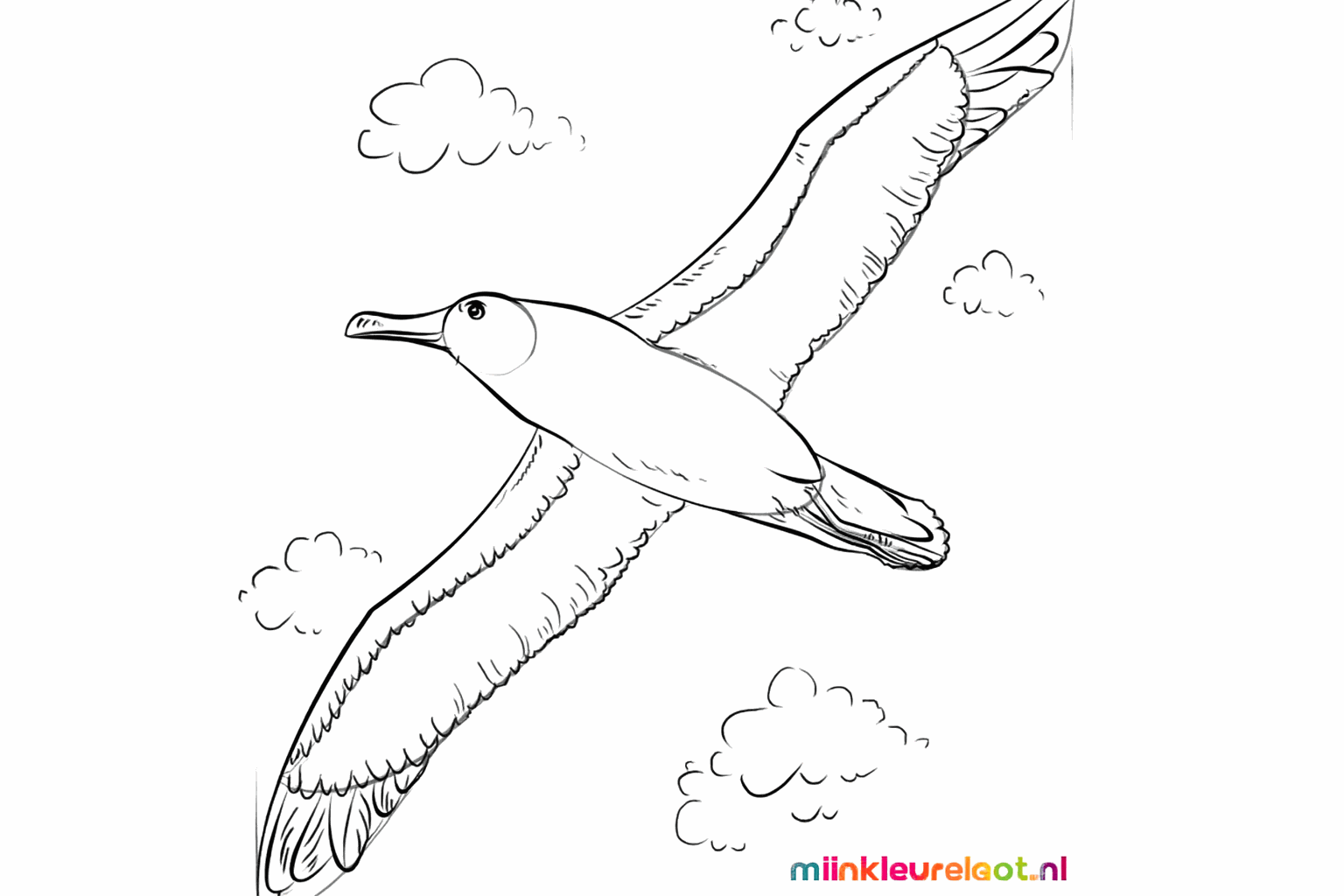 Details van de veren op de vleugels van de vogel.