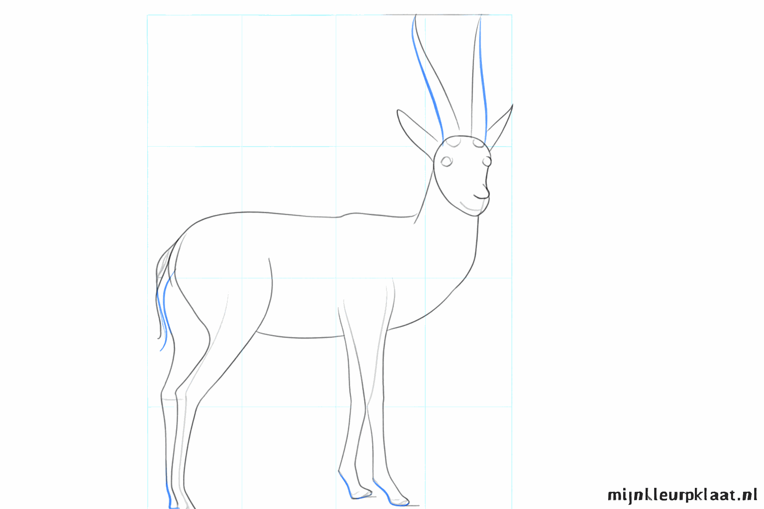 Lange lijnen voor de hoorns en de vorm van de neus en mond.