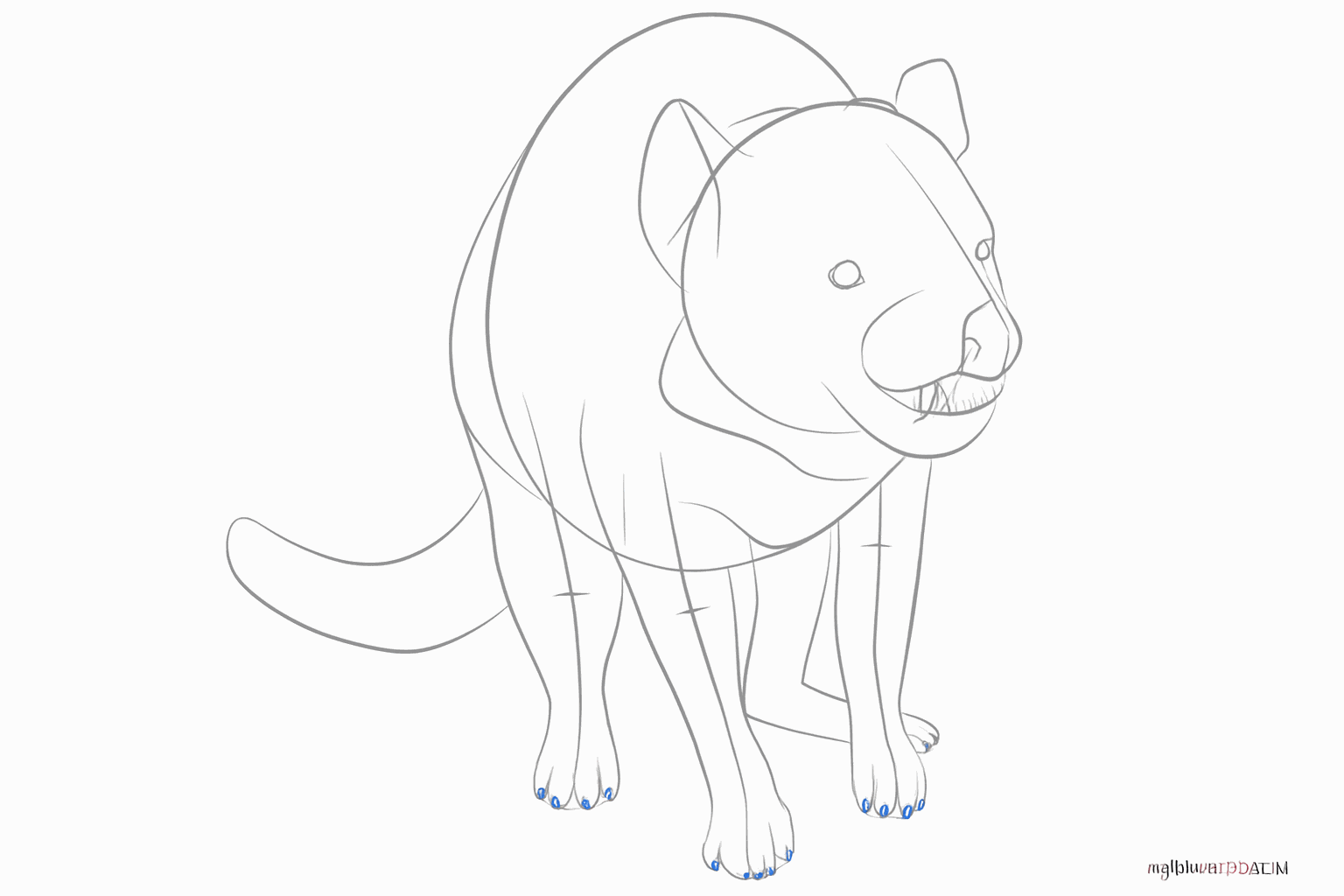 Gezichtskenmerken zoals ogen en neus, plus kleine teentjes aan de poten.