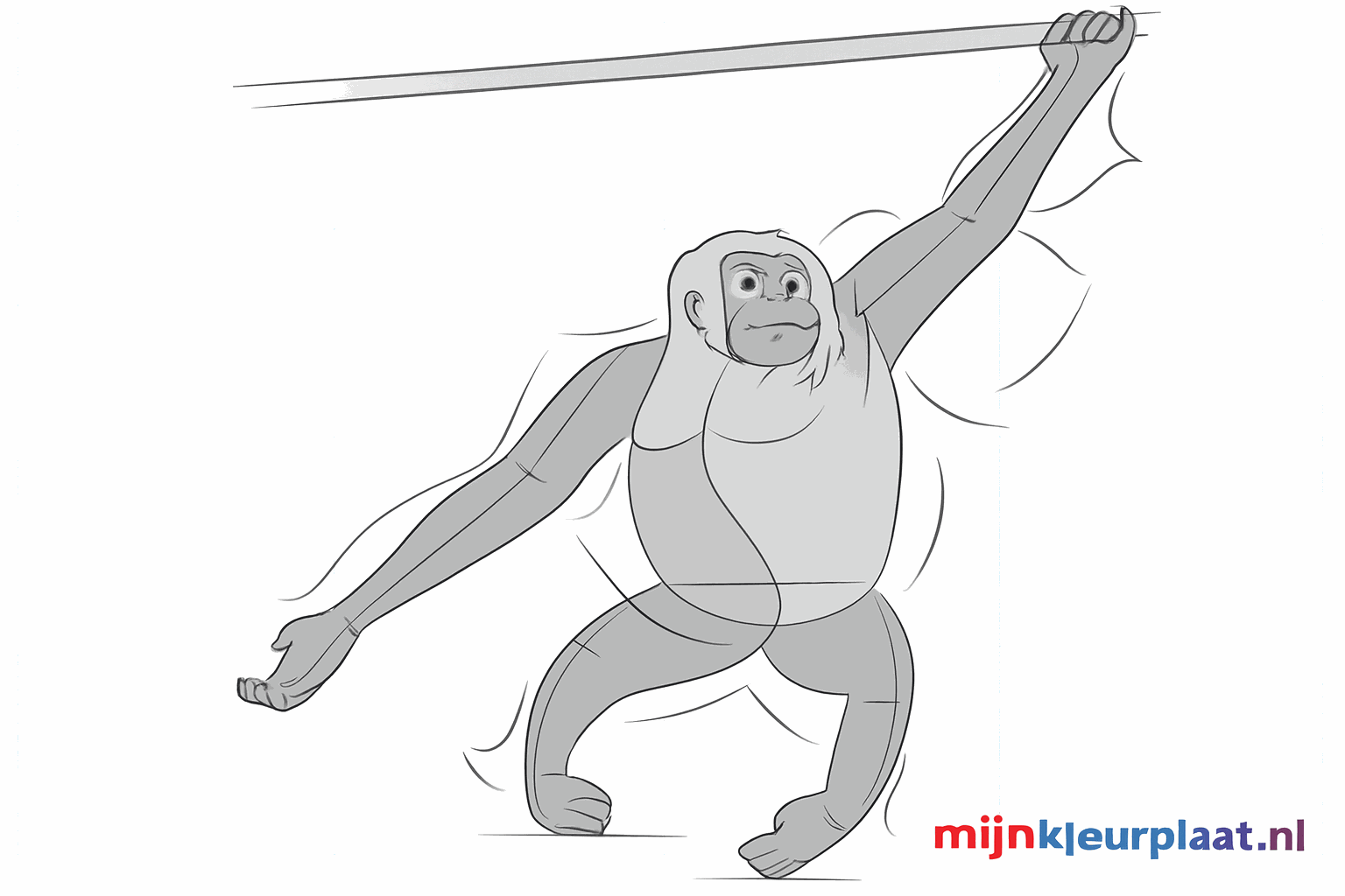 Het gezicht van de aap met ogen en een neus.