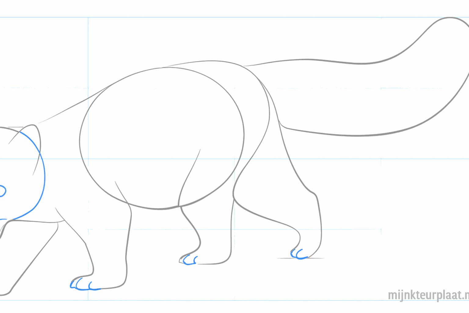 Details van de ogen, neus en de driehoekige oren van de panda.