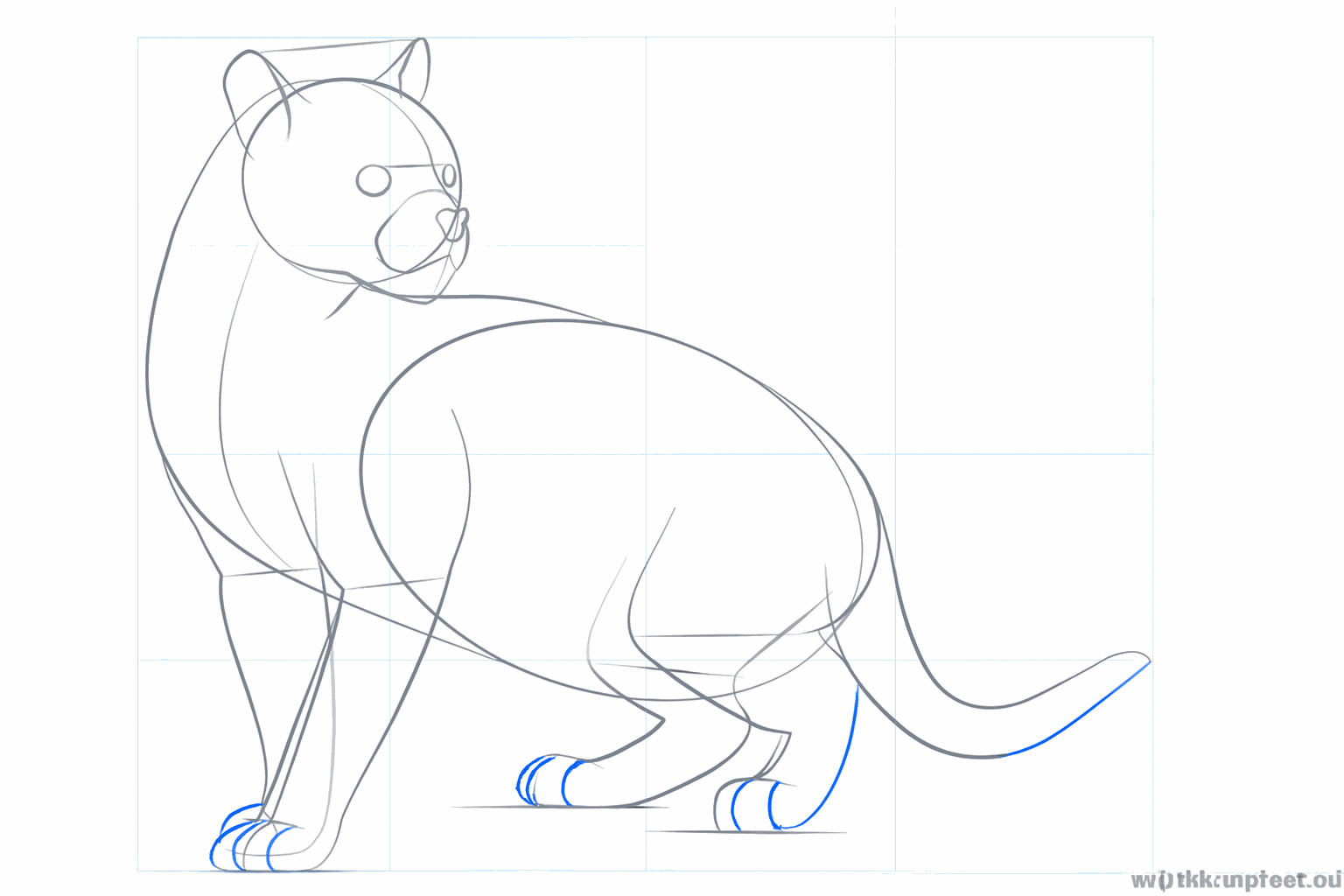 Gezicht van de ocelot met ogen, neus en ronde oren.