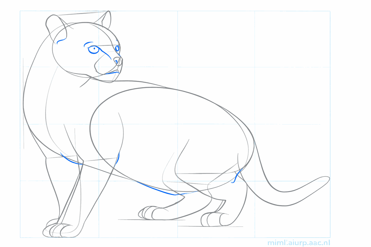 Poten met tenen en een dikke staart voor de wilde kat.