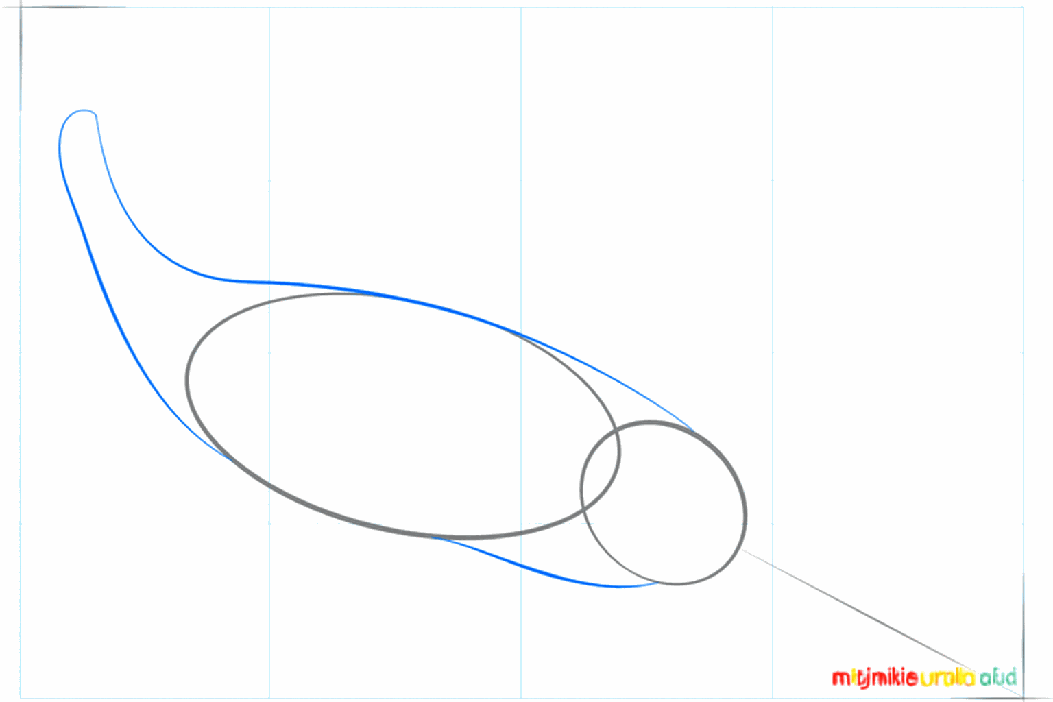 De omtrek van het lichaam van de narwal getekend rondom de ovalen.