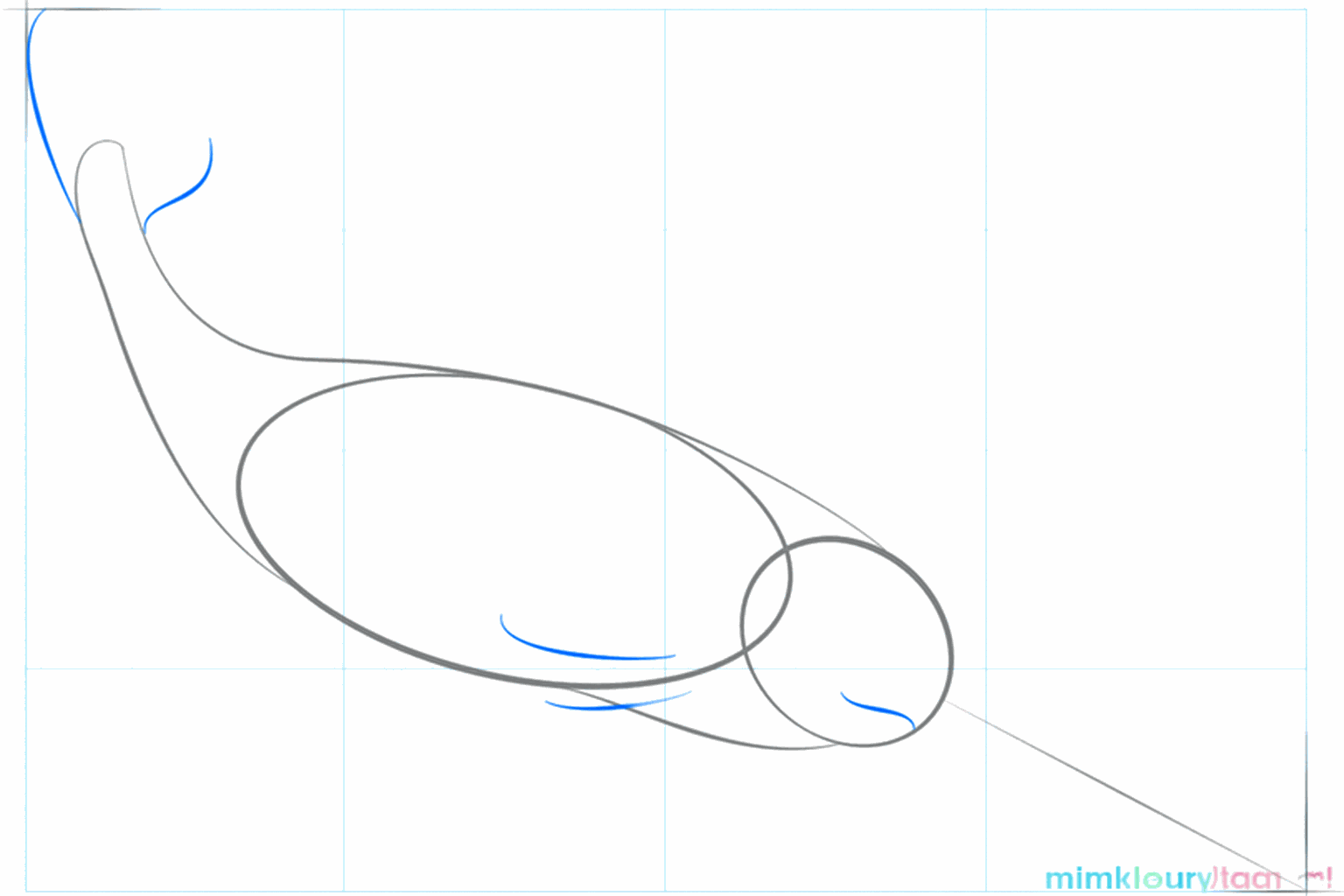 Hulplijnen voor de staart en de mond van de narwal.