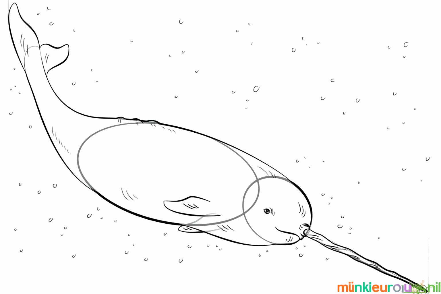 Details zoals vlekjes en een lach worden toegevoegd aan de narwal.