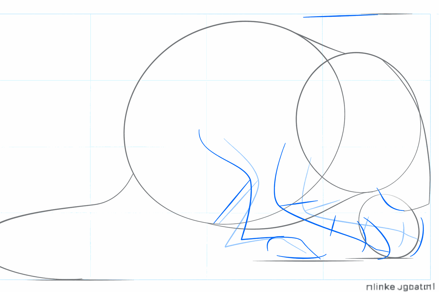 Hulpcirkels voor de oren, snuit en de poten van de muis.