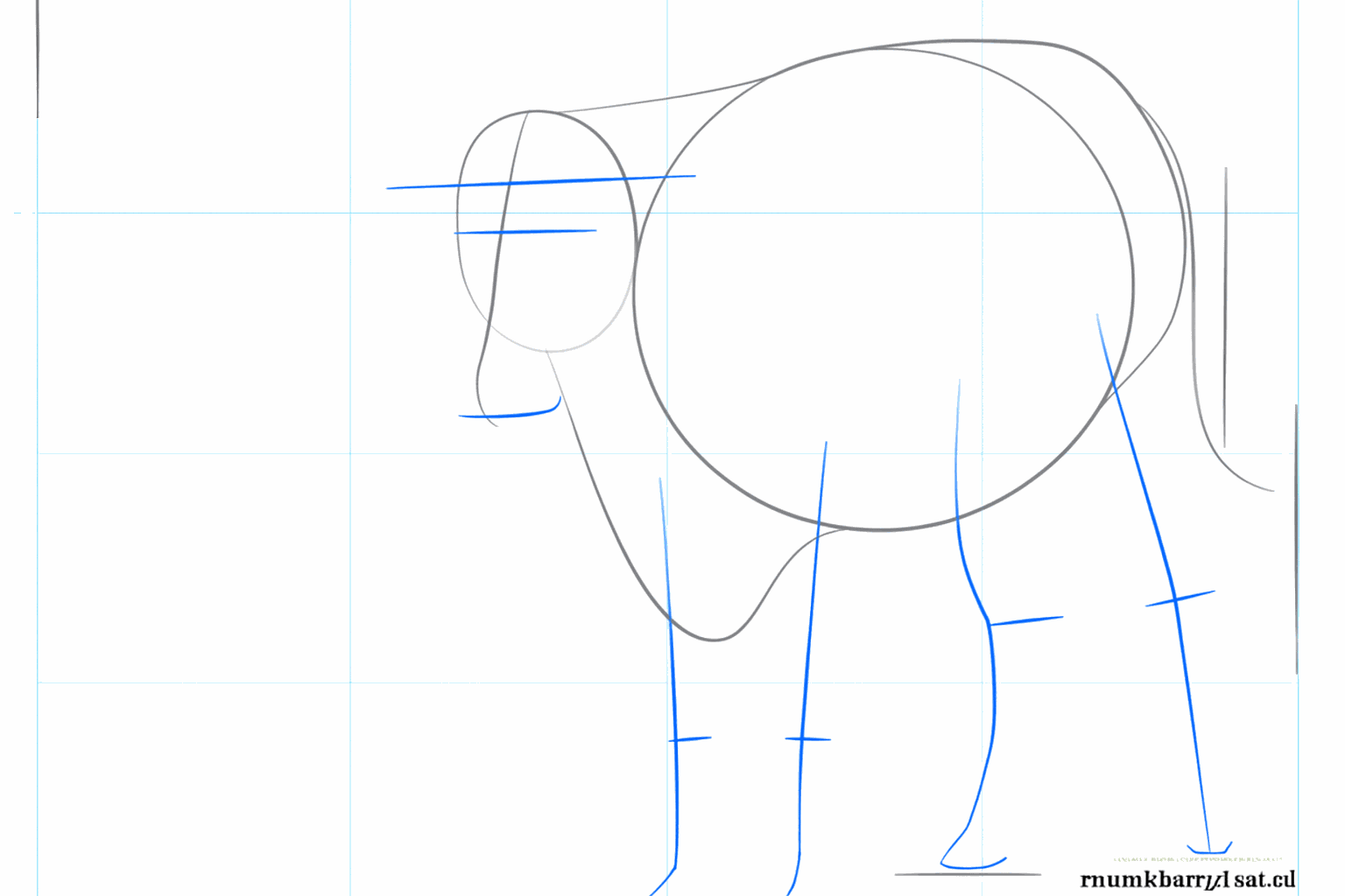 Hulplijnen voor de vier poten en de staart van de longhorn.