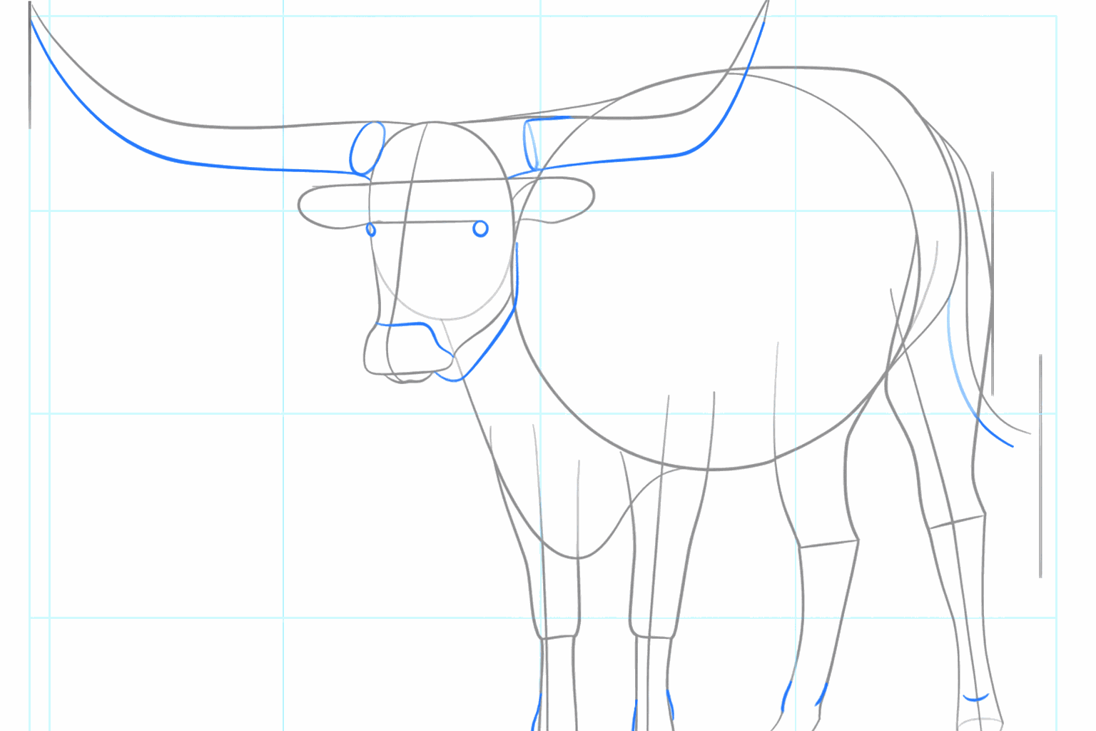 De poten en oren van de longhorn krijgen vorm.