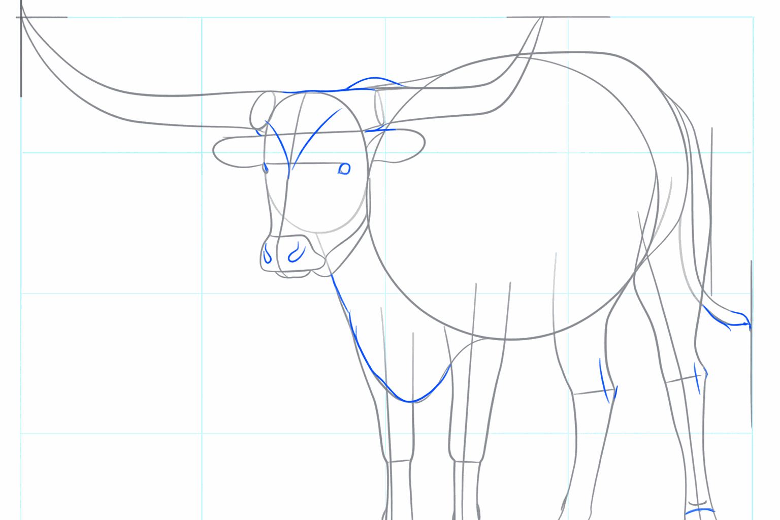 Lange lijnen die de basis vormen voor de grote hoorns.