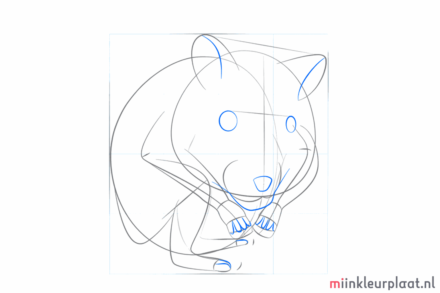 Kleine pootjes die onderaan en aan de zijkant van het lichaam uitsteken.