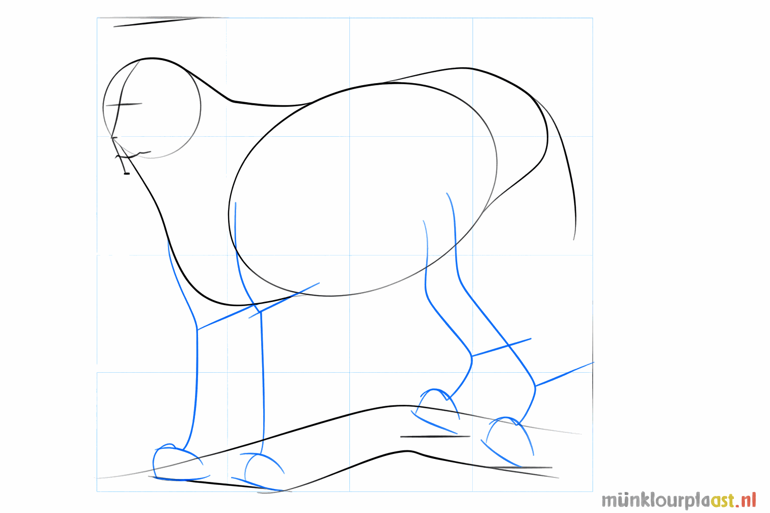 Hulplijnen voor de snuit en de poten van de lynx.