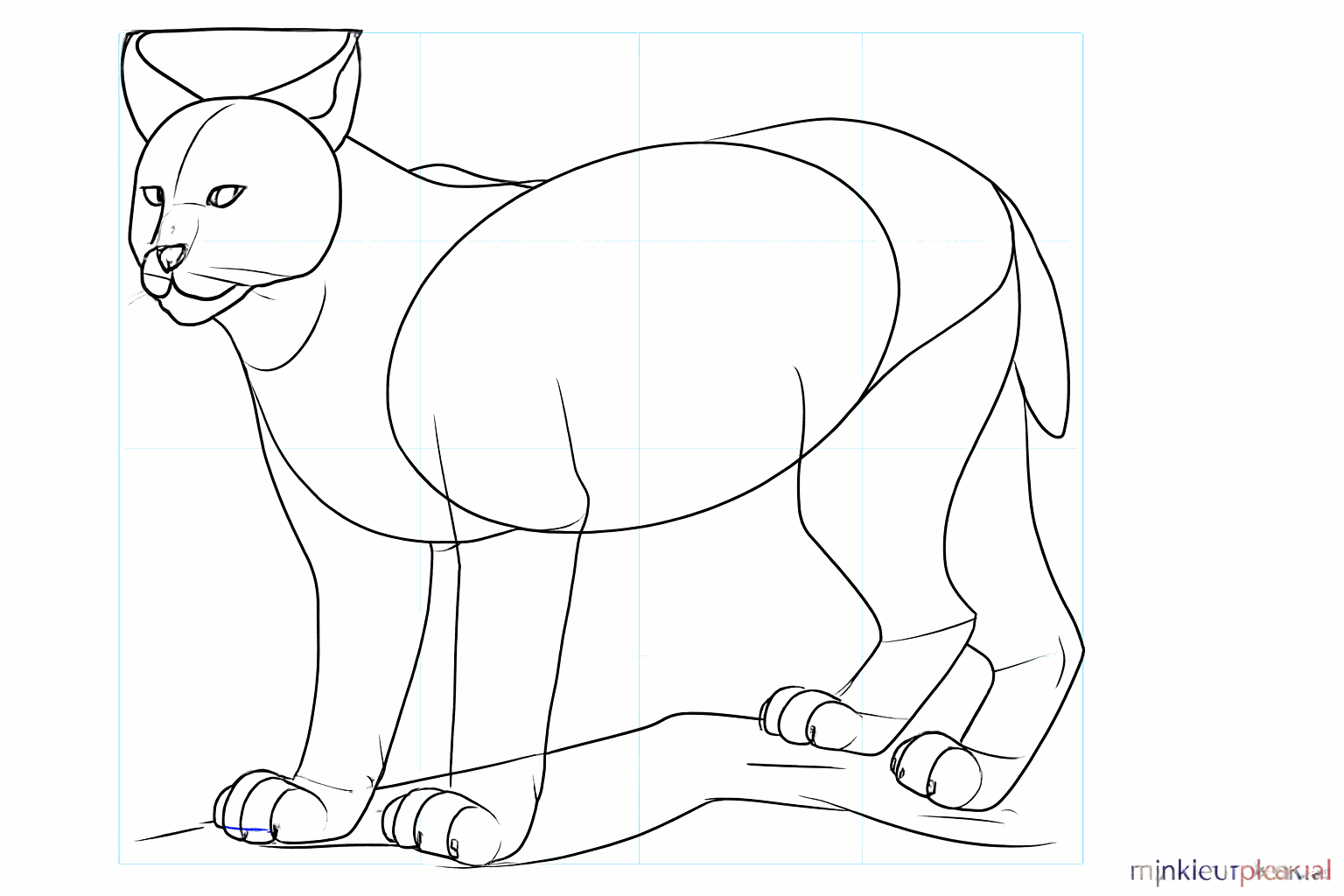 Tekenen van de nagels, de korte staart en details op de boomstam.