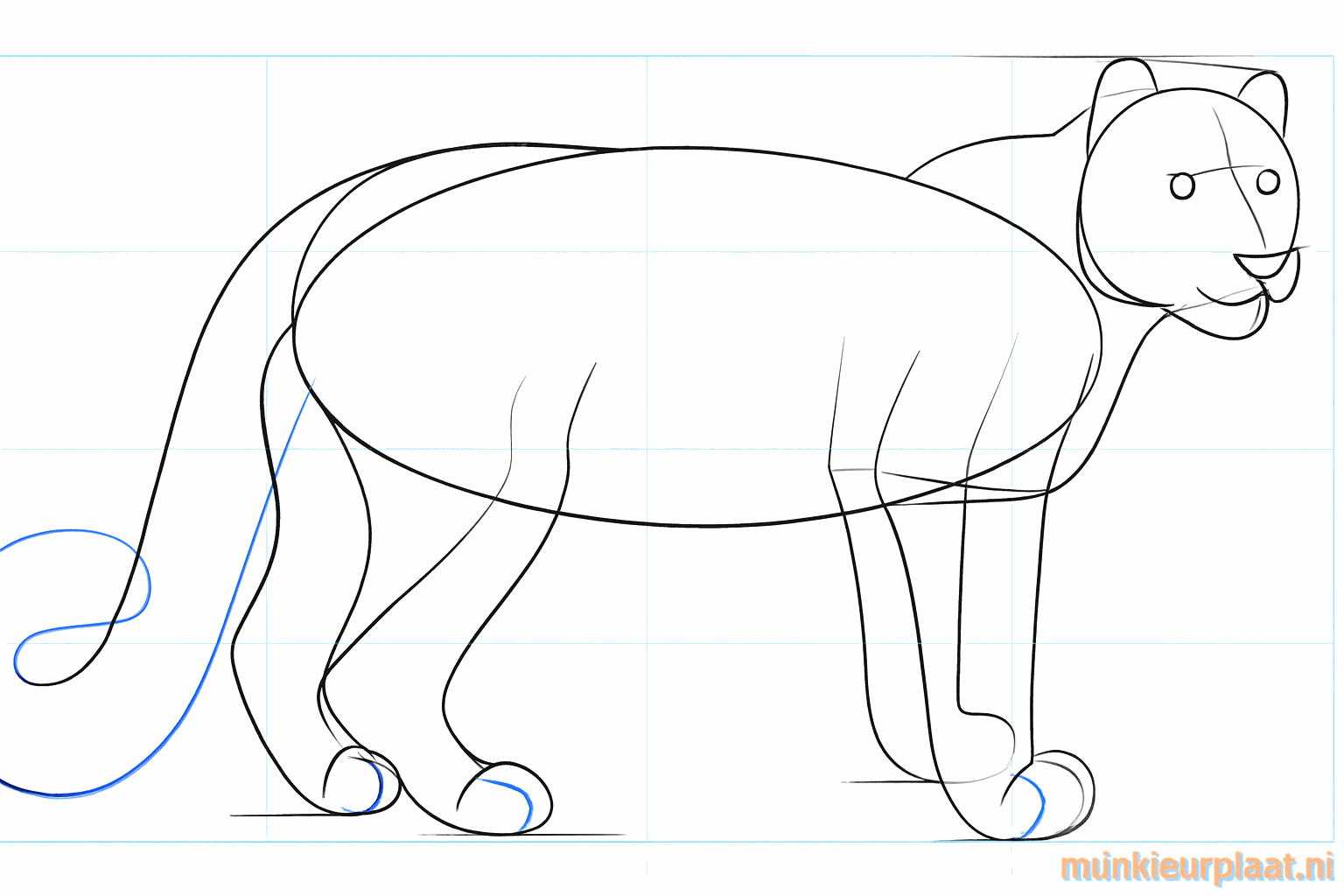 Details van de oren en de grote poten van de sneeuwluipaard.