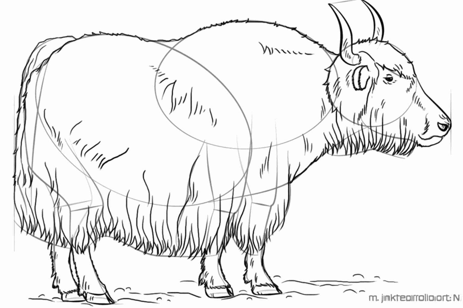 Details van een harige vacht met korte potloodstreepjes over het hele lichaam.