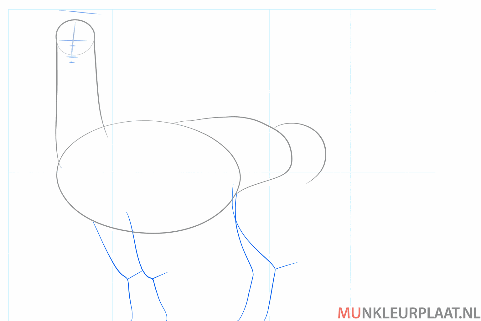 Tekenles alpaca stap 3: Rechte lijnen voor de poten en een kort staartje.