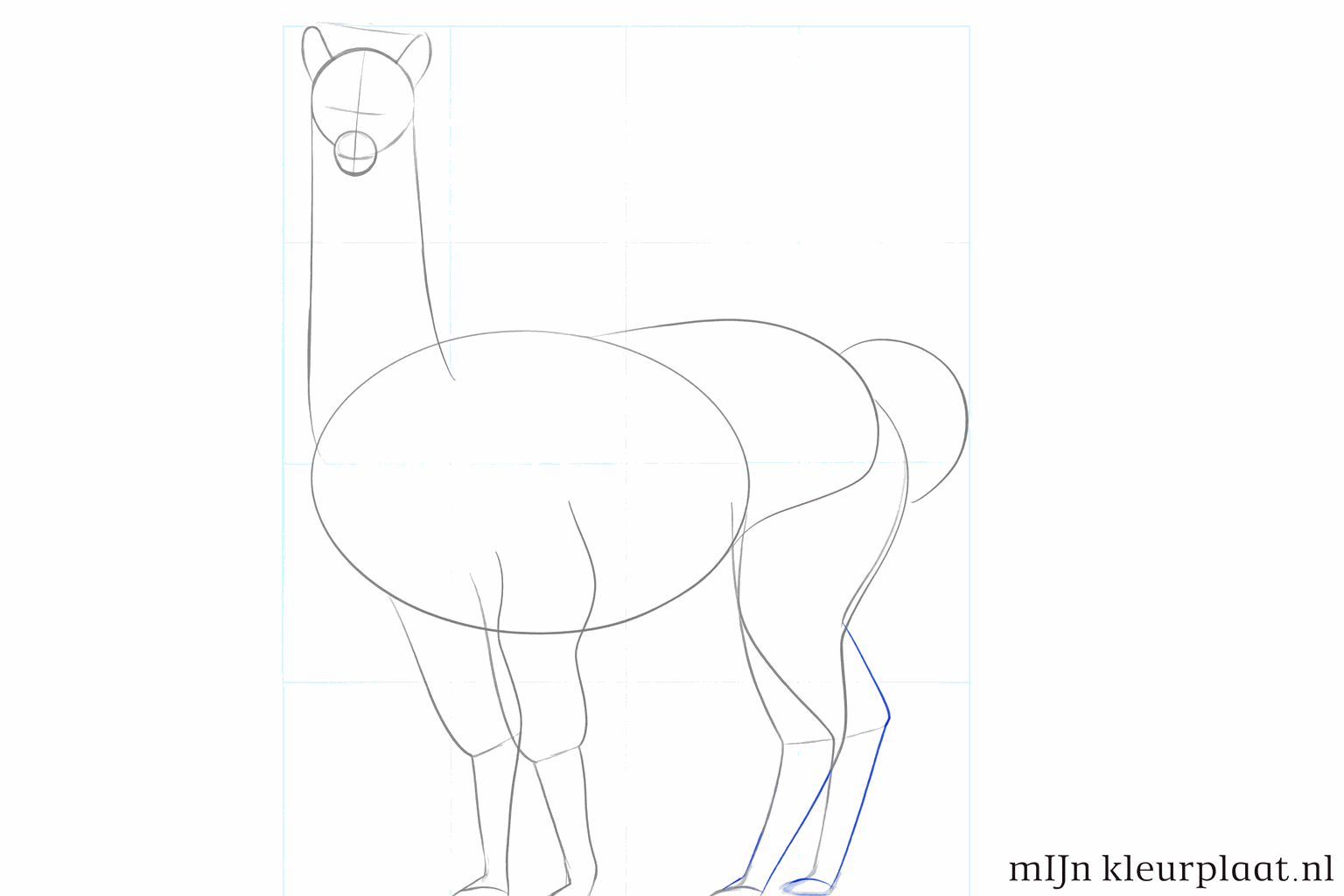 Tekenles alpaca stap 4: De vorm van de snuit en de lange oren toevoegen.