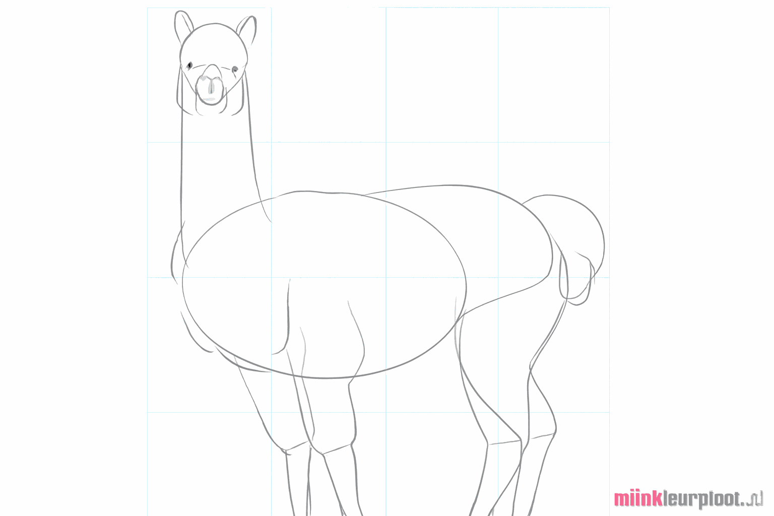 Tekenles alpaca stap 6: Het gezicht tekenen met ogen en een mond.