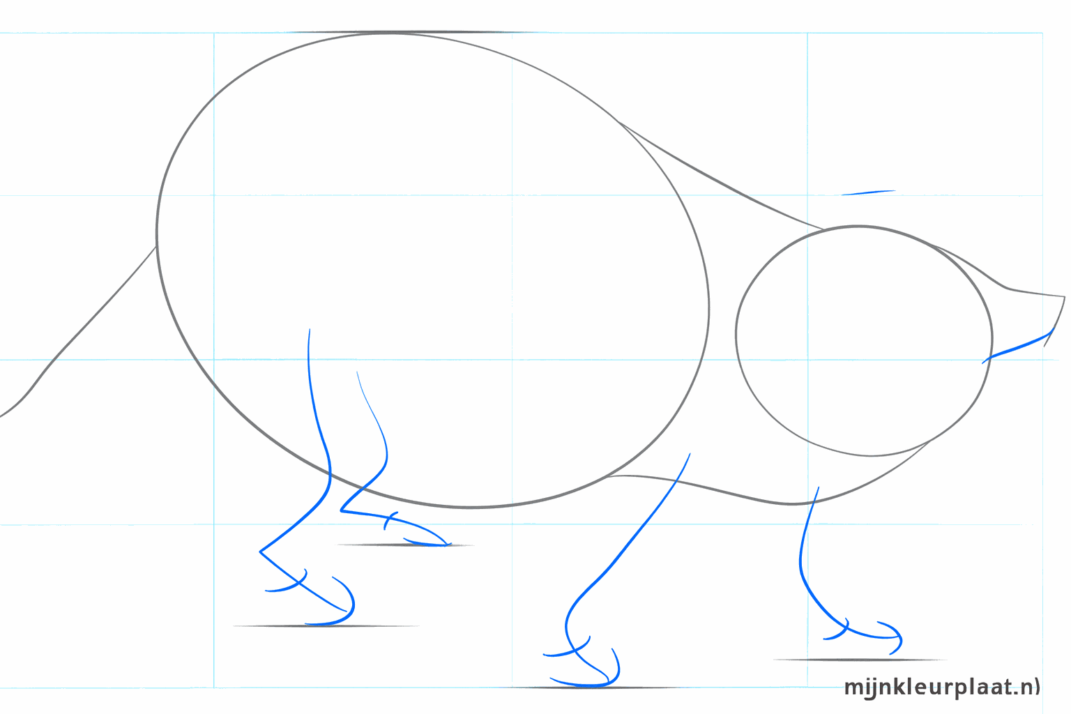 Wasbeer tekening met driehoekige oortjes en hulplijnen op het gezicht.