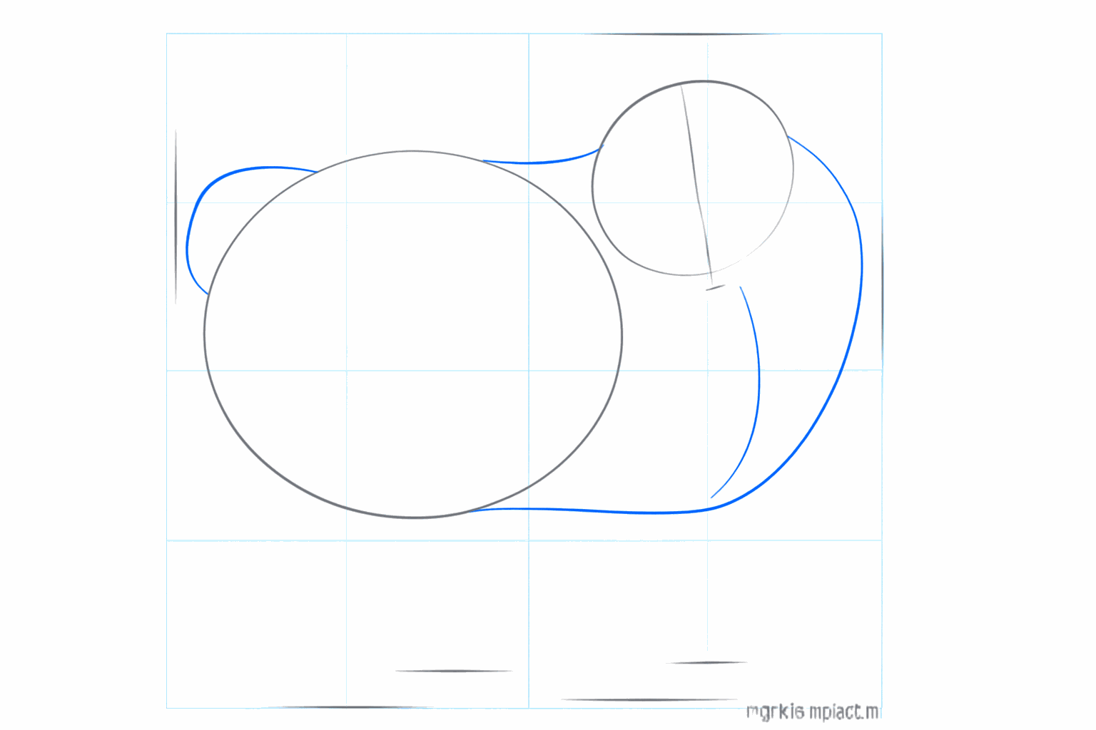 Hulplijnen voor de nek en een gebogen lijn voor de staart van de Dwergkees.