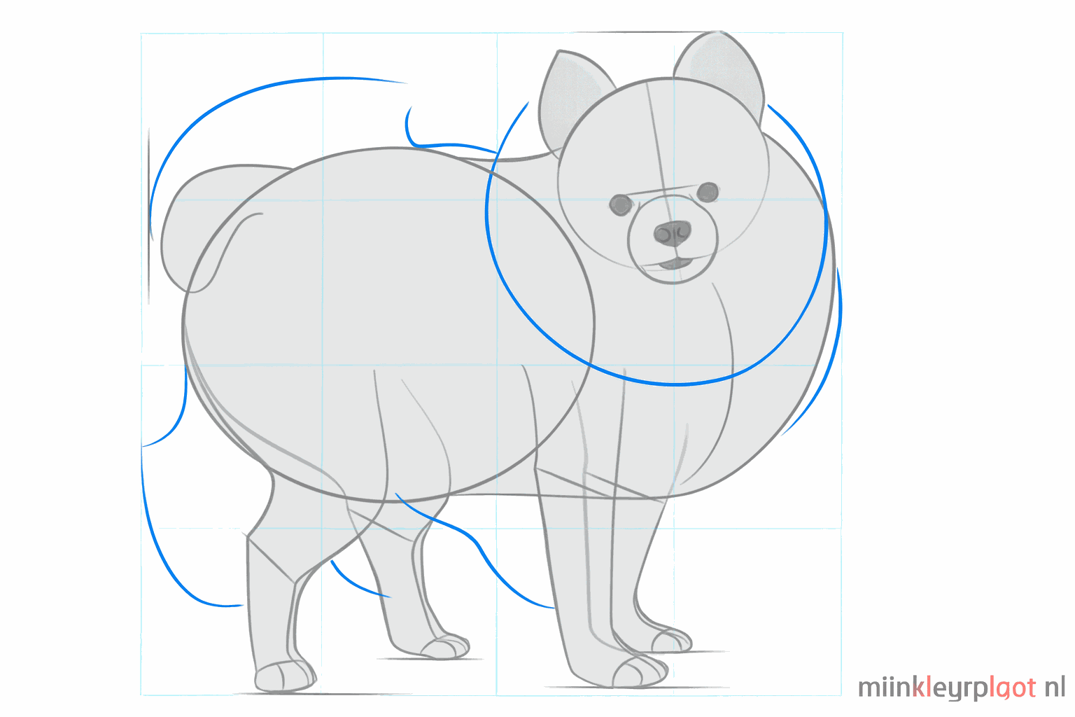 Details van de neus, spitse oren en een lijn voor de halsband.