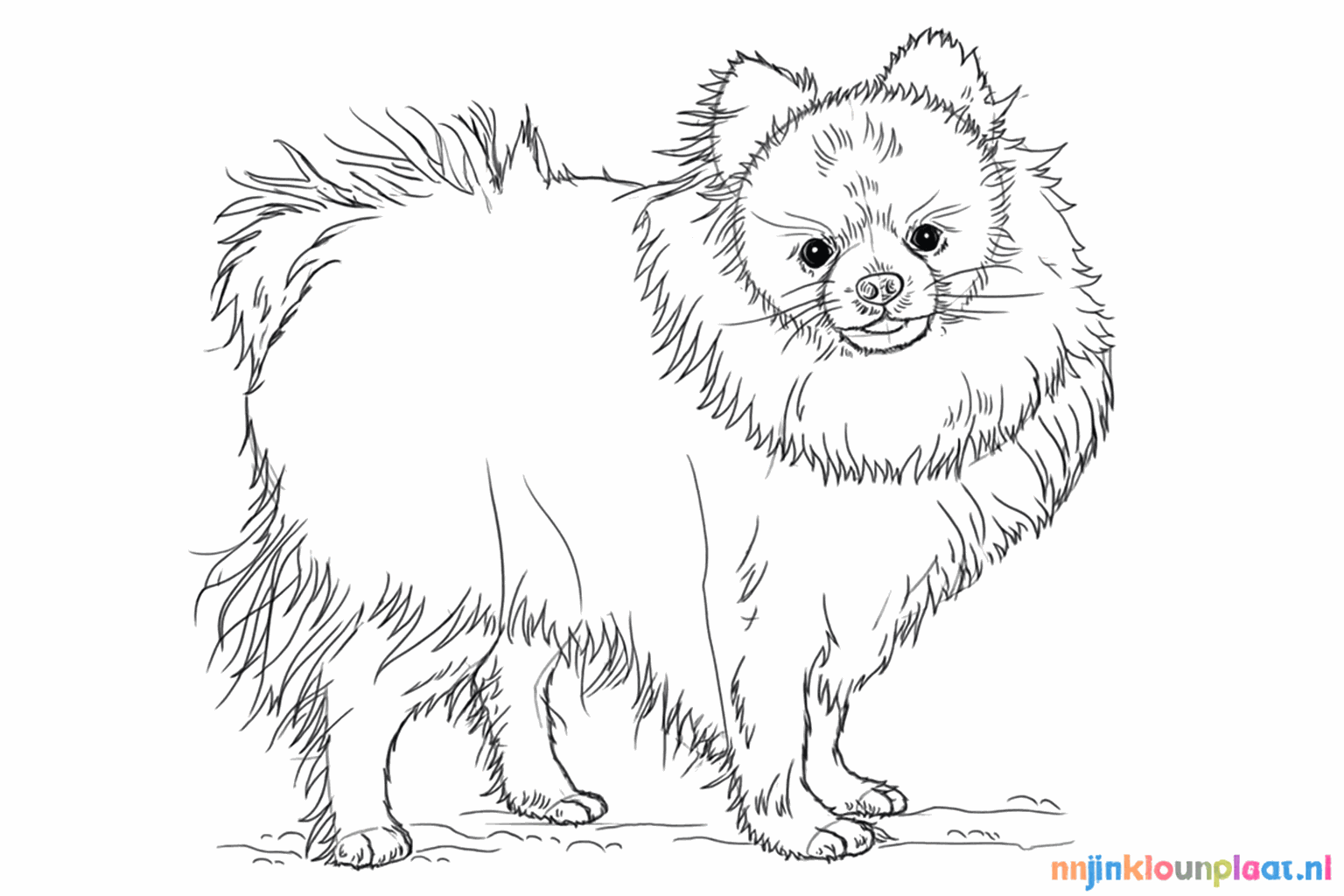 Kleine streepjes over het hele lichaam om een pluizige vacht te tekenen.