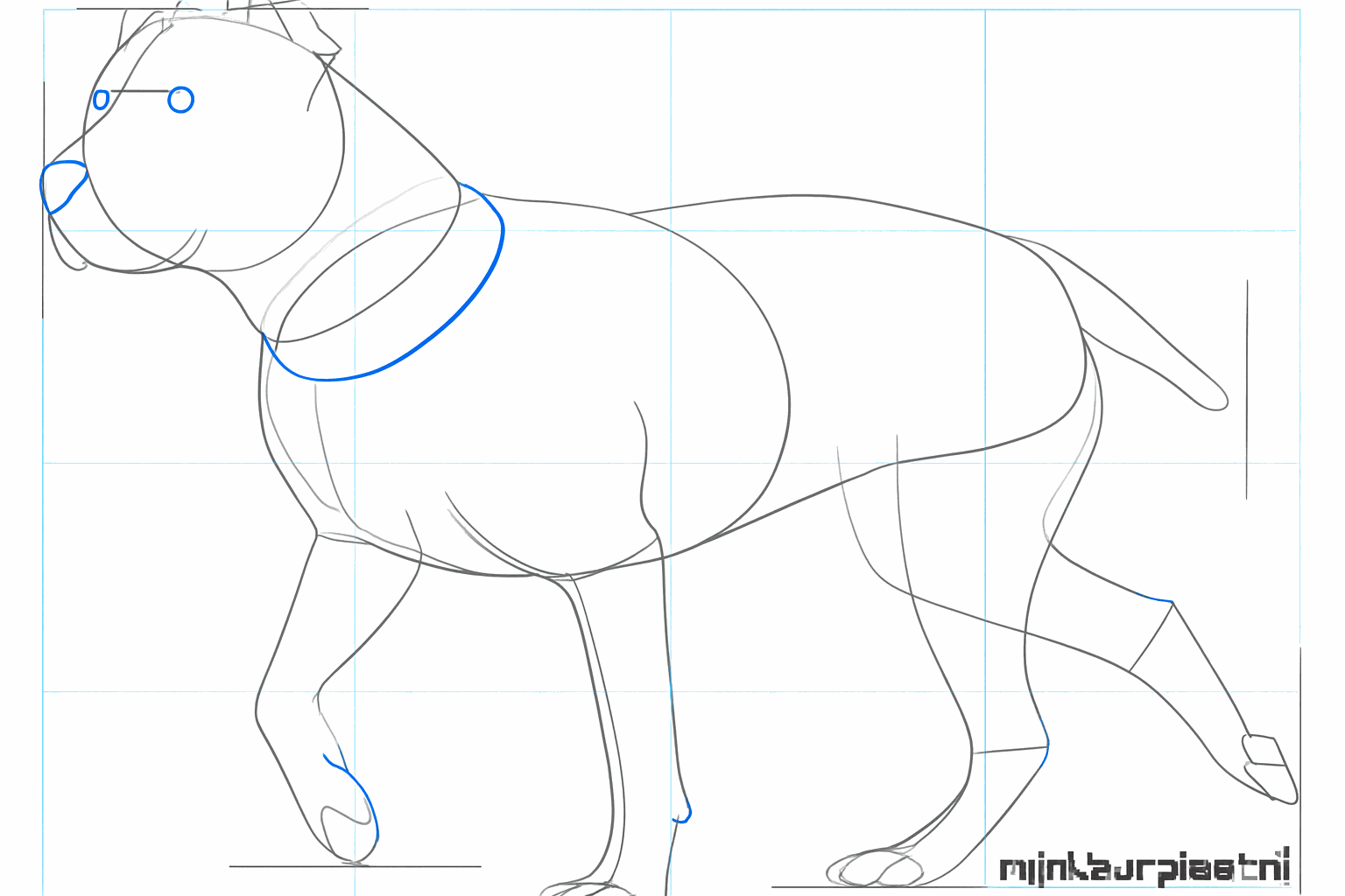 Details van de hondenpoten en een volle staart.