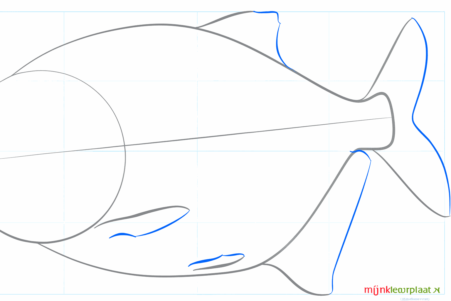 Vormen van de rugvin, buikvinnen en de stevige onderkaak.