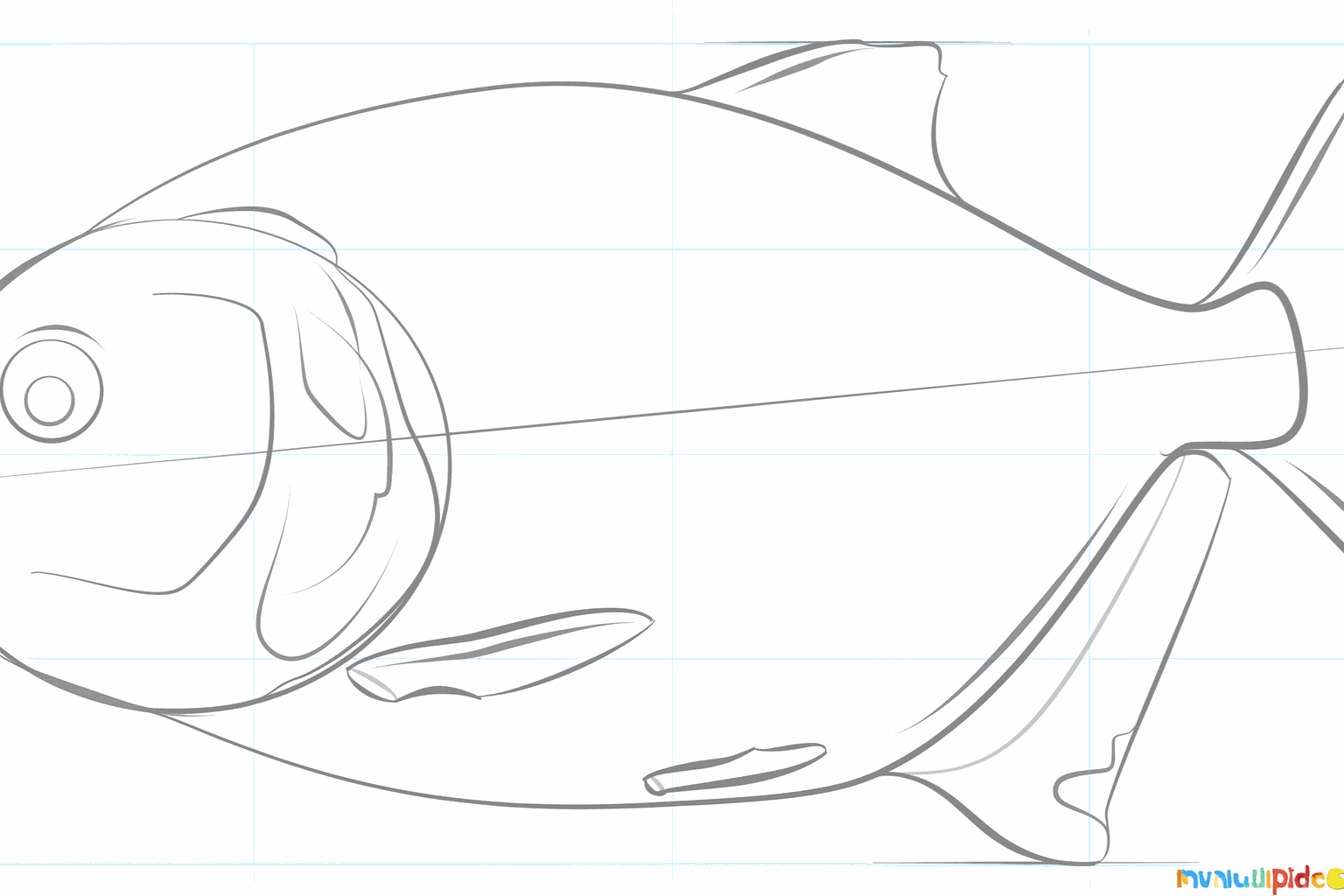 Textuur op de vinnen en de vorm van de mond.