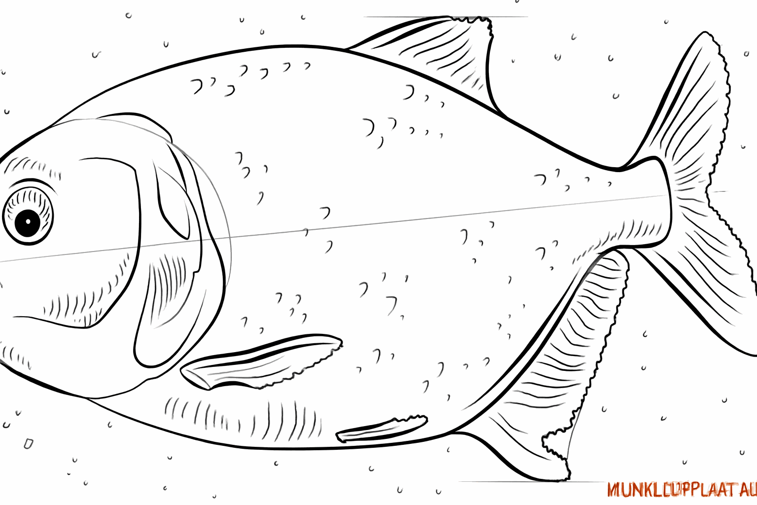 Scherpe tanden in de bek en kleine details op de huid.