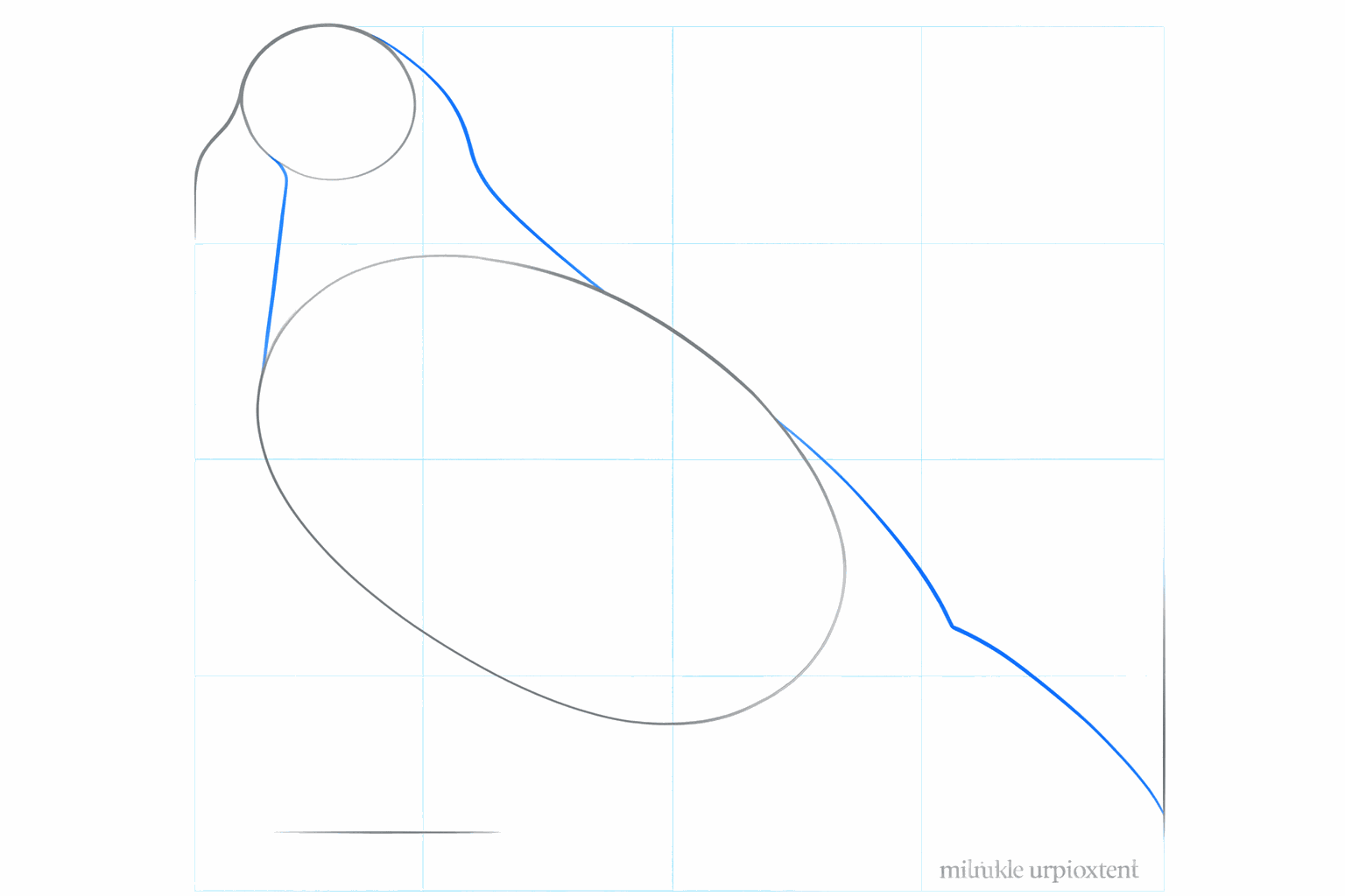 De nek en de hulplijn voor de staart van de duif tekenen.