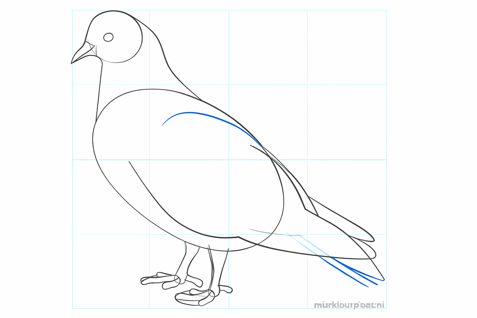 De pootjes en de staart van de duif vormgeven.