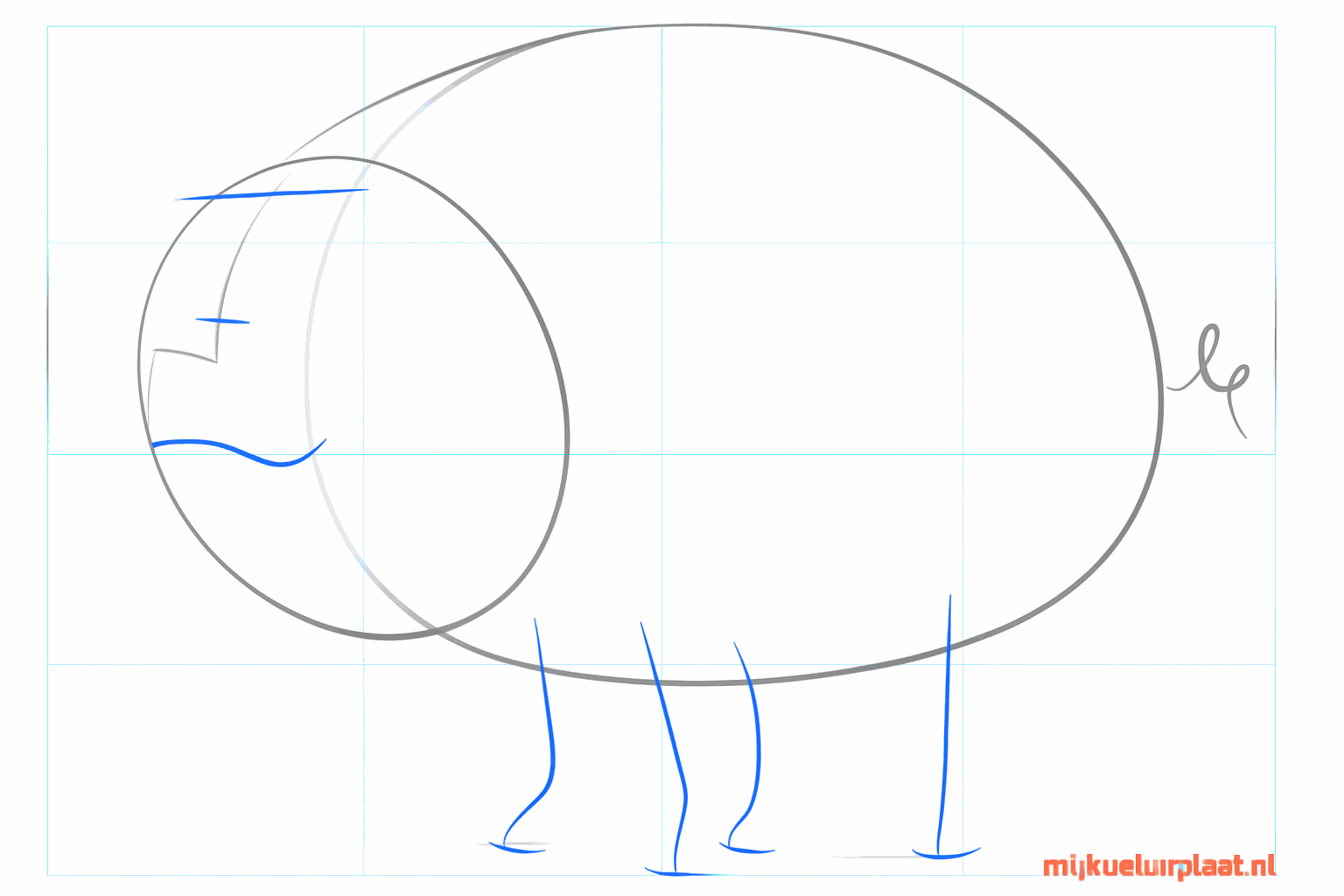 Hulplijnen voor de poten, de snuit, de ogen en de oren van het varken.