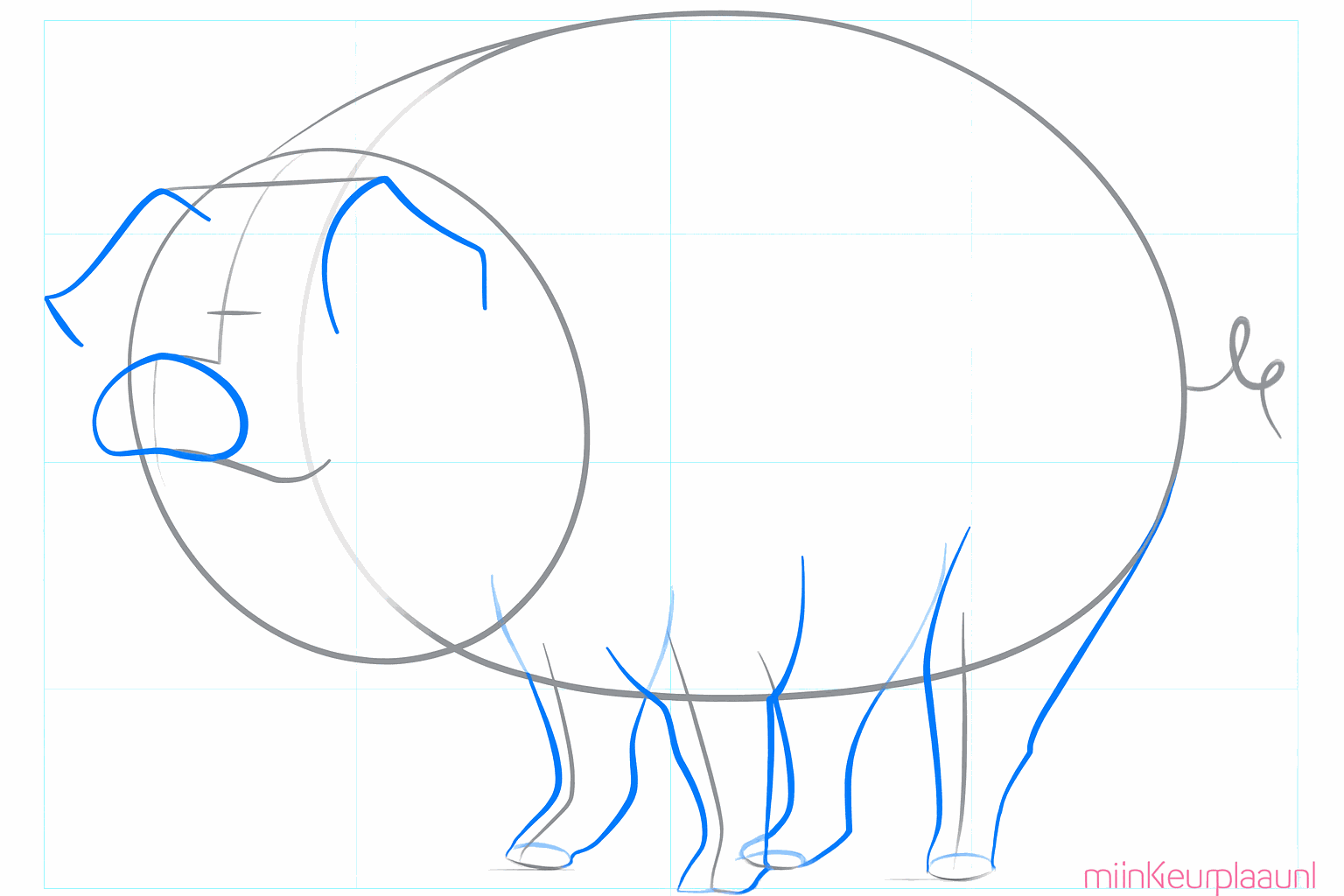 De vormen van de poten, de snuit en de oren worden duidelijker getekend.