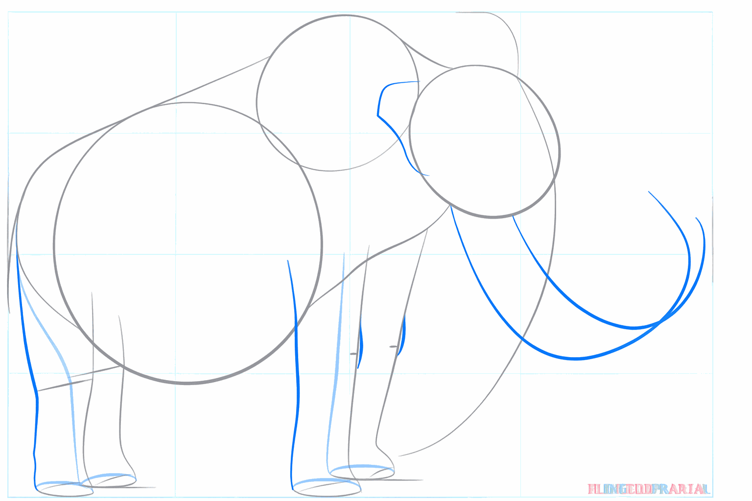 De vormen van de stevige poten en een klein oor aan de zijkant van de kop.