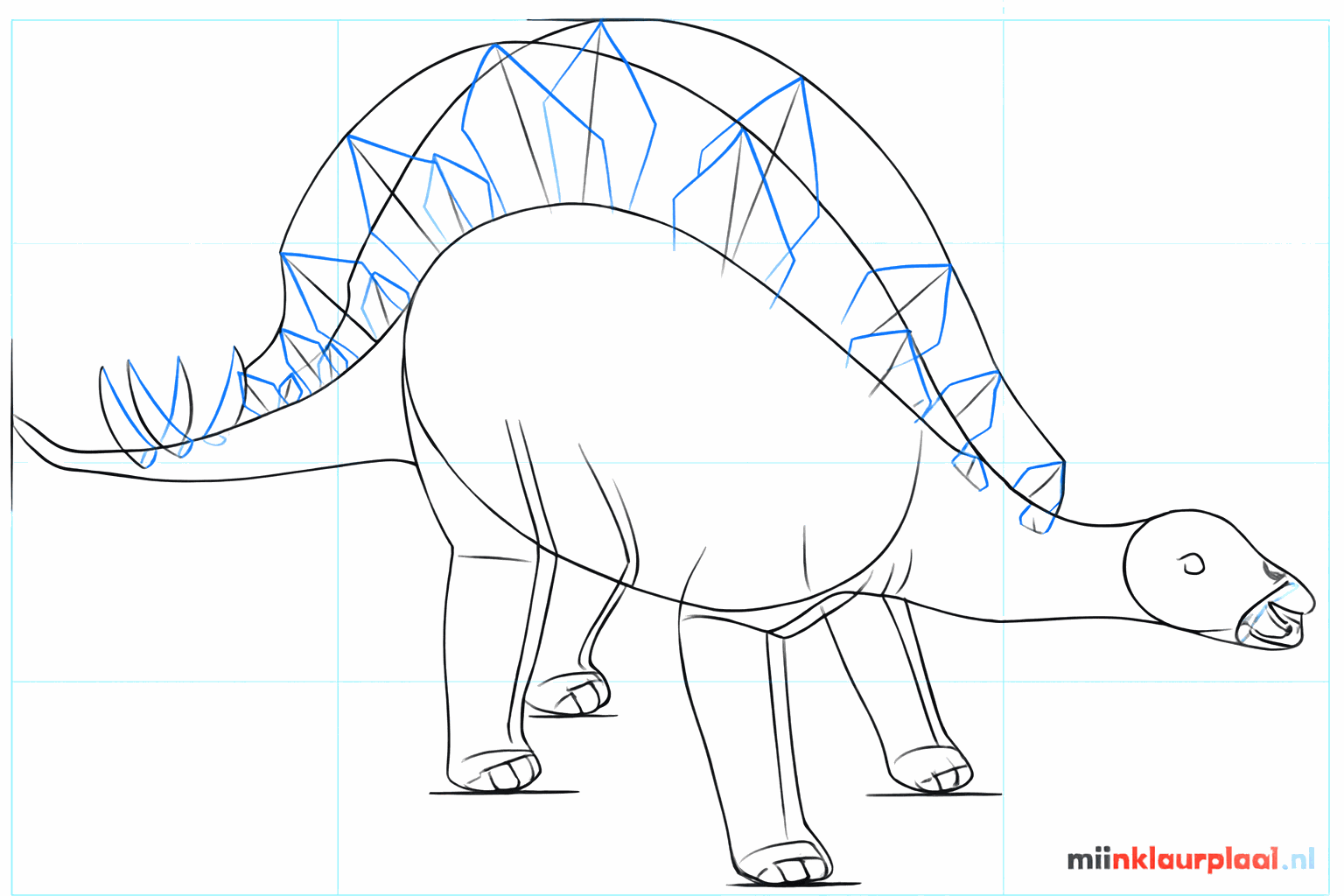 Tekening van stekels op de staart en de eerste ruitvormige platen op de rug.