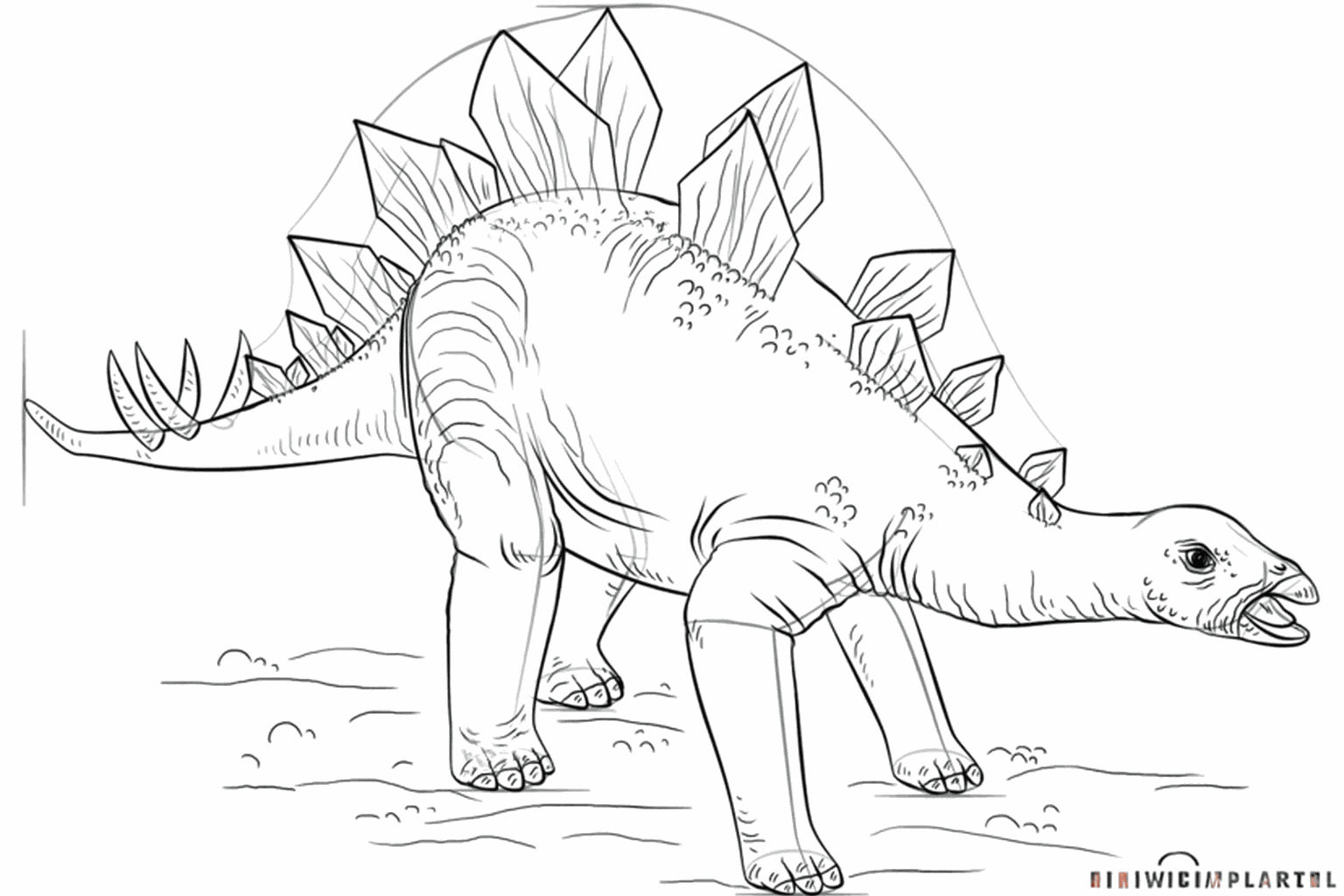 Details zoals het oog, de neus en de tenen van de stegosaurus zijn toegevoegd.