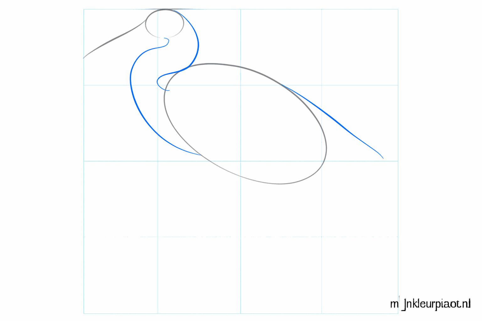 De nek en staartlijn verbinden de kop en het lichaam van de vogel.