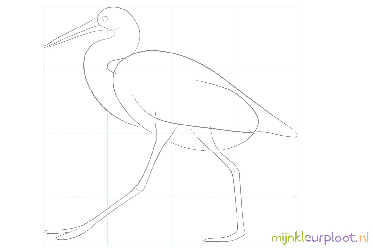 De snavel en vleugels krijgen meer volume en vorm.