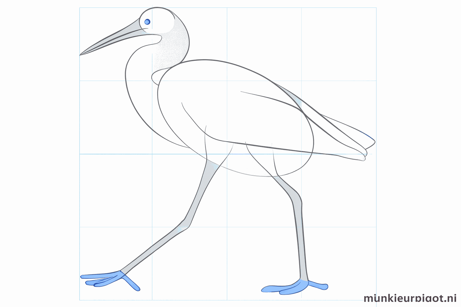 Details van het oog en de lange tenen van de zilverreiger.