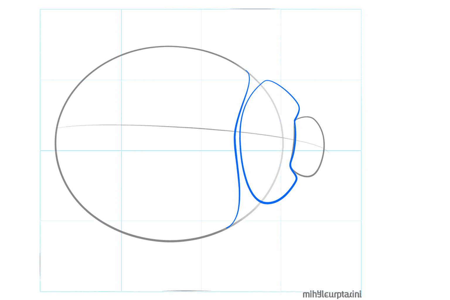 Een ovaal met een verticale lijn in het midden die het schild in tweeën splitst.