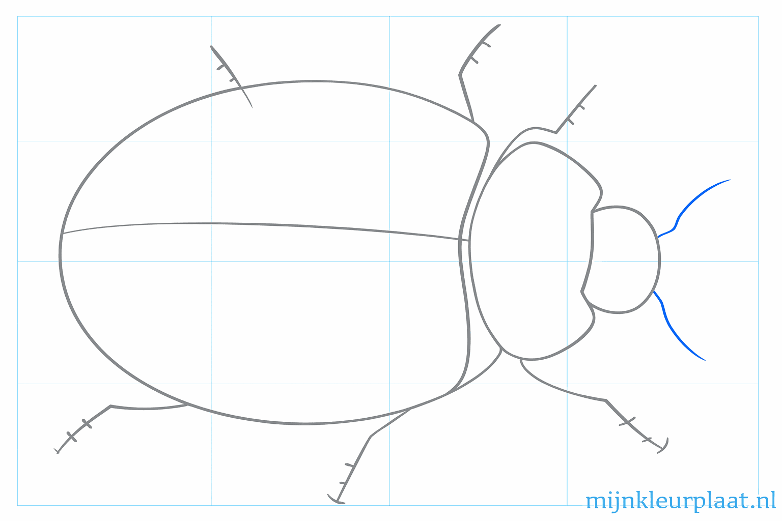 Lieveheersbeestje schets waarbij de overgang tussen kop en lijf duidelijker wordt gemaakt.
