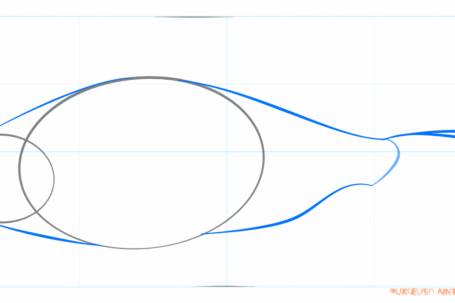 Lijnen die de ovalen verbinden tot een visvorm.