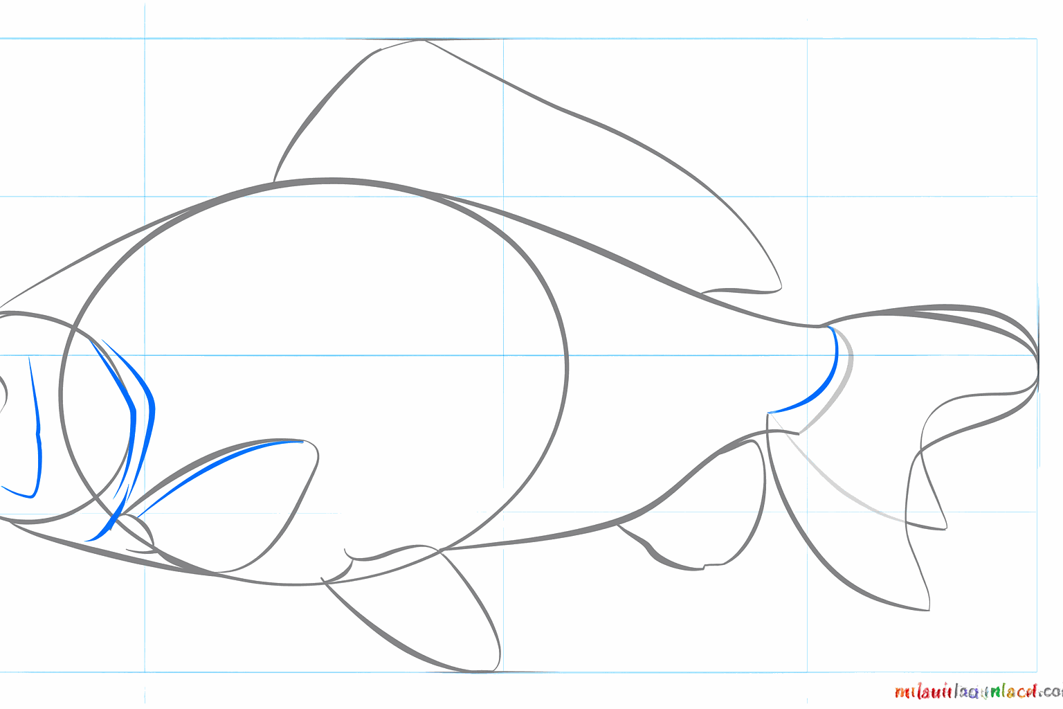 Gedetailleerde vinnen en kieuwen toegevoegd aan de karper.