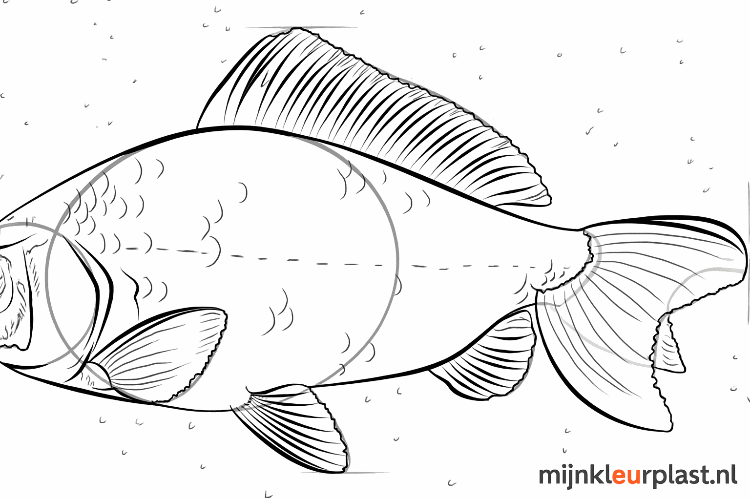 Lijnen in de vinnen die textuur geven aan de vis.